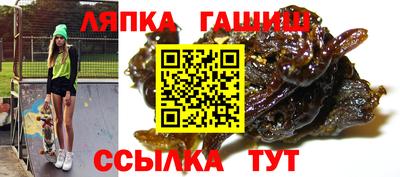 спиды Гагарин