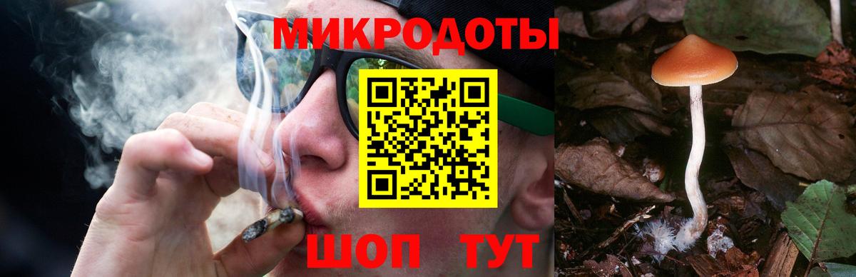 Борисоглебск  Псилоцибиновые грибы ЛСД  Вход с VPN 