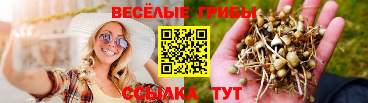 Галлюциногенные грибы прущие грибы Борисоглебск